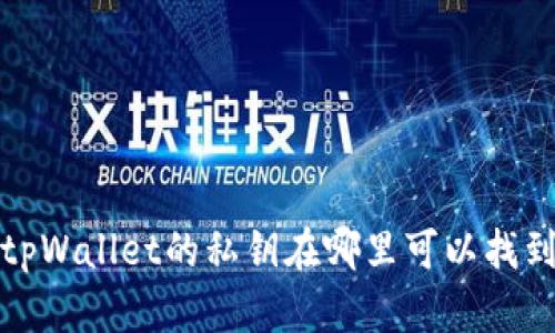 tpWallet的私钥在哪里可以找到