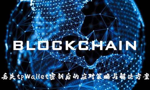 丢失tpWallet密钥后的应对策略与解决方案