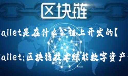 tpWallet是在什么公链上开发的？

tpWallet：区块链技术赋能数字资产管理