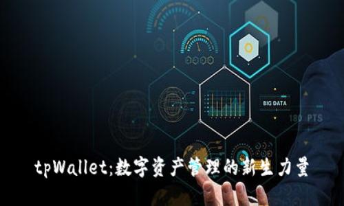 tpWallet：数字资产管理的新生力量