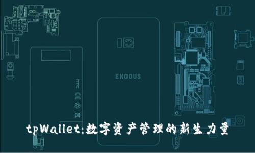 tpWallet：数字资产管理的新生力量