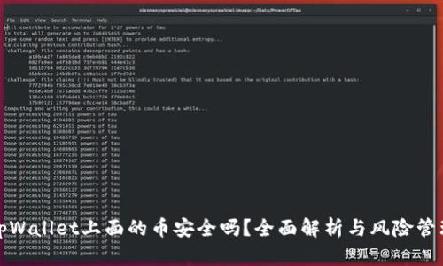 tpWallet上面的币安全吗？全面解析与风险管理