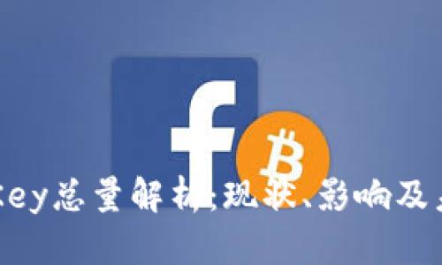 虚拟币Key总量解析：现状、影响及未来展望