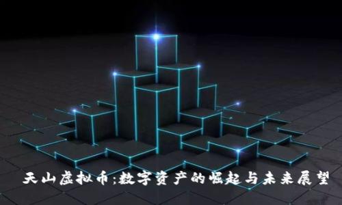  天山虚拟币：数字资产的崛起与未来展望