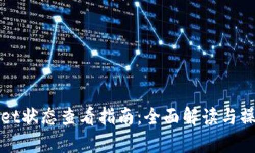 tpWallet状态查看指南：全面解读与操作技巧