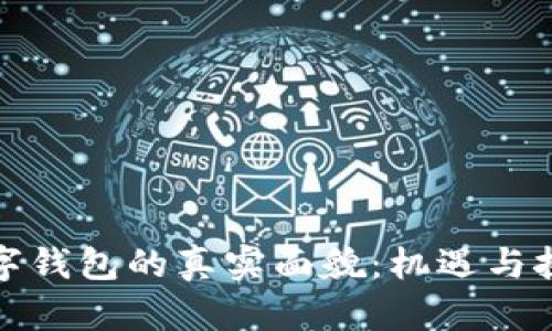数字钱包的真实面貌：机遇与挑战