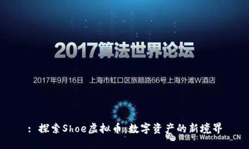 : 探索Shoe虚拟币：数字资产的新境界