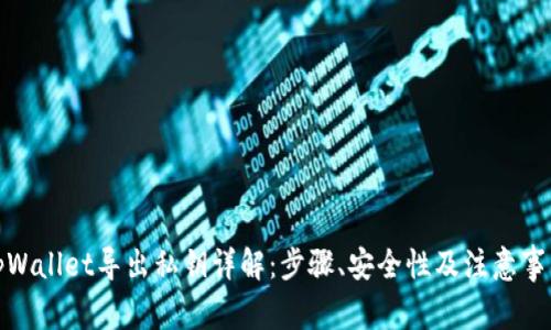 tpWallet导出私钥详解：步骤、安全性及注意事项