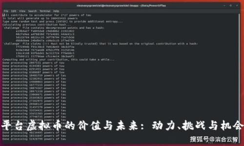 平台虚拟币的价值与未来: 动力、挑战与机会