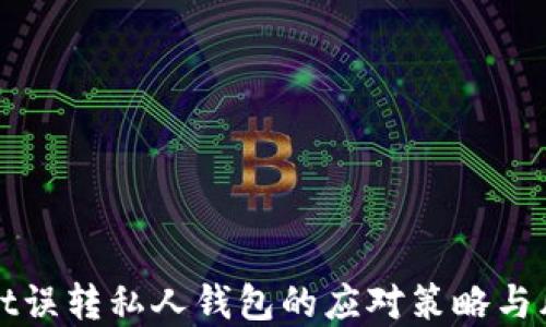 
tpWallet误转私人钱包的应对策略与风险管理