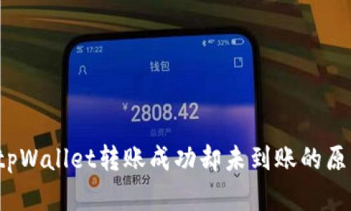  为何tpWallet转账成功却未到账的原因解析