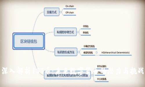 深入解析1ST币：未来数字货币的潜力与挑战