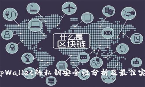  tpWallet的私钥安全性分析及最佳实践