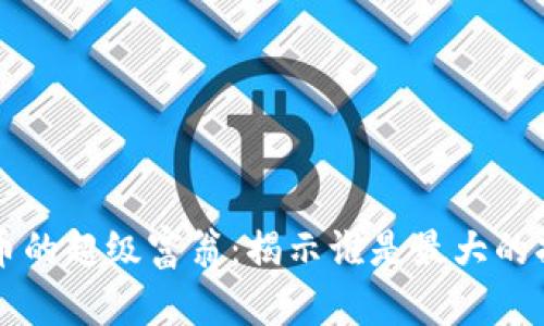 虚拟币的超级富翁：揭示谁是最大的持有者