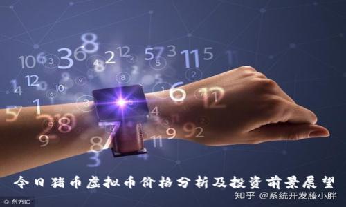 今日猪币虚拟币价格分析及投资前景展望
