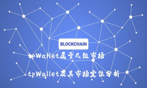 tpWallet属于几级市场

tpWallet及其市场定位分析
