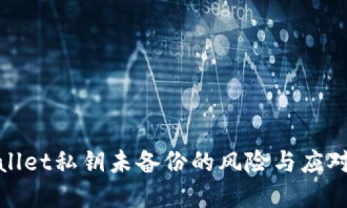 tpWallet私钥未备份的风险与应对策略