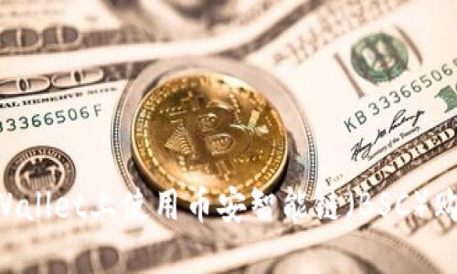 如何在TP Wallet上使用币安智能链（BSC）购买加密货币