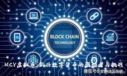 MCY虚拟币：新兴数字货币的驱动者与挑战