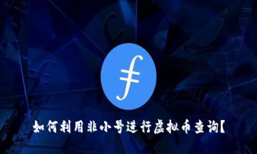 如何利用非小号进行虚拟币查询？
