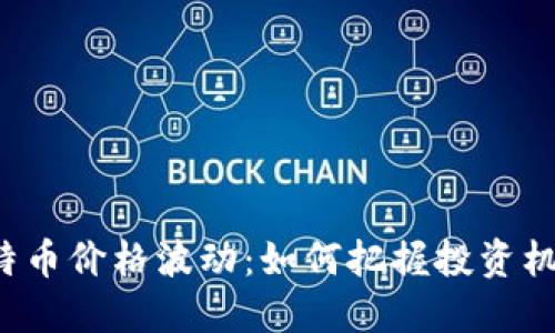 比特币价格波动：如何把握投资机会？