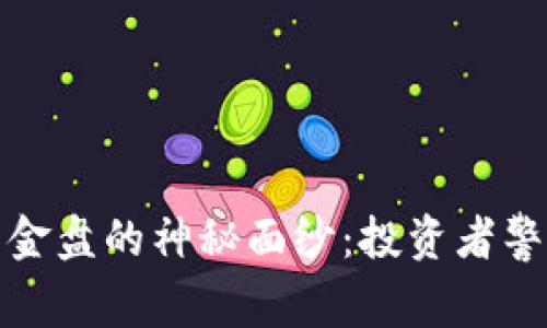 揭开虚拟币资金盘的神秘面纱：投资者警惕与机遇并存