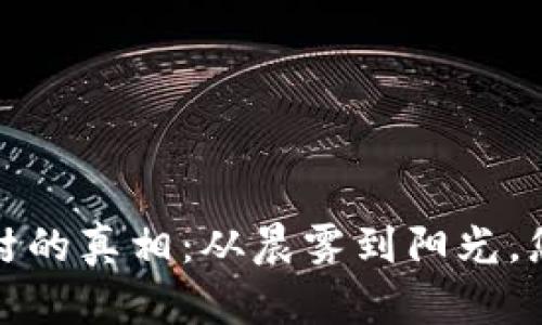 揭开虚拟币违规查封的真相：从晨雾到阳光，您需要了解的每一步