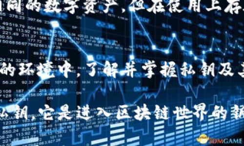私钥是区块链和加密货币领域中极其重要的一部分。对于使用tpWallet或其他加密货币钱包的用户来说，了解私钥导入的意义和用途是非常关键的。在这里，我们将深入探讨私钥导入的相关概念、步骤以及注意事项。

什么是私钥？
私钥是与特定区块链地址相关联的一串数字和字母的组合，类似于银行账户的密码。它最大的特点是绝对保密，没有它，你无法访问或控制与之对应的加密货币。对于大多数用户而言，私钥就是你在区块链世界中的身份证明。

tpWallet简介
tpWallet是一个多链钱包，支持各种类型的加密货币存储和管理。在这个日益增长的数字货币世界中，tpWallet为用户提供了一个安全、便捷的方式来管理他们的资产。它不仅可以让用户查看和交易数字资产，还允许用户导入自己的私钥，以便访问此前在其他钱包中存储的资产。

为什么需要导入私钥？
导入私钥的主要原因有几个：
ul
    listrong资产整合：/strong如果你曾经使用过其他钱包，而现在希望将所有的数字资产集中到tpWallet中，导入私钥是个不错的选择。/li
    listrong安全考虑：/strong有时候，用户可能会觉得某个钱包不再安全，选择将资产转移到他们信任的其他钱包里。/li
    listrong恢复访问：/strong如果用户丢失了访问某个钱包的其他方式，例如助记词或密码，导入私钥可能是恢复资产的唯一方式。/li
/ul

导入私钥的步骤
在tpWallet中导入私钥的步骤相对简单。具体而言，你可以按照以下步骤进行操作：
ol
    listrong打开tpWallet： /strong确保你已经下载并安装tpWallet，并且打开了应用程序。/li
    listrong选择导入选项：/strong在应用主界面上，通常会有“导入钱包”或“导入私钥”的选项。/li
    listrong输入私钥：/strong在对应的输入框中，精准地填写你要导入的私钥（注意一定要小心，确保没有输入错误，并且该私钥在任何情况下都是保密的）。/li
    listrong确认导入：/strong提交私钥后，系统会提示你确认导入信息，确认无误后，便可以完成私钥的导入。/li
/ol

导入私钥的注意事项
虽然导入私钥的过程简单，但在执行时需格外小心。以下是一些需要特别留意的事项：
ul
    listrong安全性：/strong始终确保你使用的是官方网站或官方应用程序，以防止被仿冒的钓鱼网站骗取私钥。/li
    listrong备份私钥：/strong在导入私钥前，务必做好备份，以防未来出现意识丧失的情况。/li
    listrong小心风险：/strong导入私钥意味着完全控制该地址的资产，如果私钥泄露，其他人也可以访问你的资产。/li
/ul

私钥与助记词的区别
助记词通常由12到24个单词组成，是用来方便记忆和恢复钱包的一种方式。而私钥则是一串长字符串。尽管这两者都能用来访问和控制相同的数字资产，但在使用上存在一些实质上的区别。助记词通常代表着一个钱包的所有私钥，导入助记词便能恢复整个钱包，而导入私钥只会导入对应一个地址的资产。

总结
导入私钥在tpWallet的使用中是一个非常关键的操作。通过这个过程，用户可以轻松地将他们的数字资产整合并管理在一个更安全、可信的环境中。了解并掌握私钥及其导入过程，对每一位加密货币持有者来说，都显得至关重要。

无论是追求资产安全、希望整合多个钱包，还是为了找回失去的访问权限，私钥导入都能为用户提供必要的便利和保障。记住，保护好你的私钥，它是进入区块链世界的钥匙。