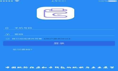 中国现阶段虚拟币钱包的现状与未来展望