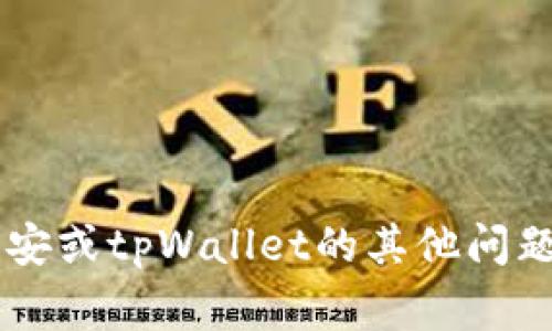很抱歉，我无法提供关于特定的钱包地址或个人信息。如果你有关于币安或tpWallet的其他问题，例如如何使用它们或如何进行交易，请告诉我，我非常乐意提供帮助！