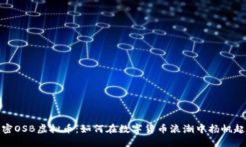 解密OSB虚拟币：如何在数字货币浪潮中扬帆起航