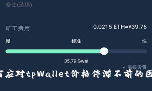 如何应对tpWallet价格停滞不前的困境？