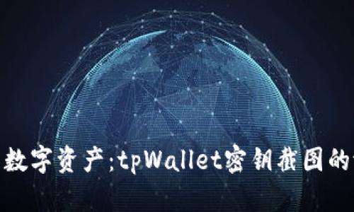 保护你的数字资产：tpWallet密钥截图的潜在风险