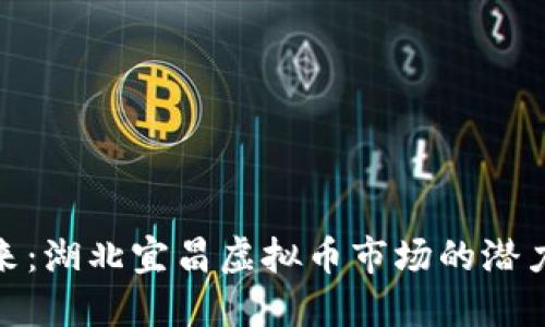 投资未来：湖北宜昌虚拟币市场的潜力与机遇