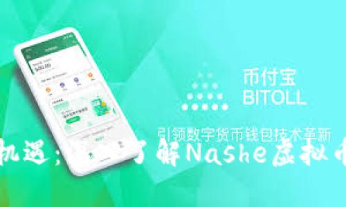 探索投资新机遇：深入了解Nashe虚拟币的未来潜力