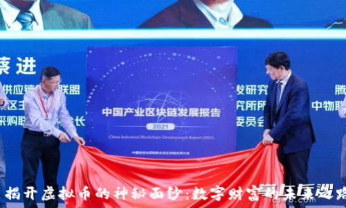   
 揭开虚拟币的神秘面纱：数字财富的未来之路