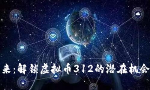 投资未来：解锁虚拟币312的潜在机会与挑战