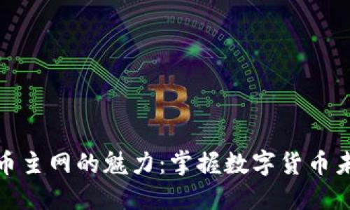 探索虚拟币主网的魅力：掌握数字货币未来的钥匙