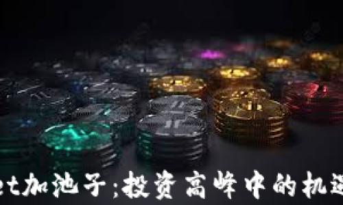 
tpWallet加池子：投资高峰中的机遇与挑战