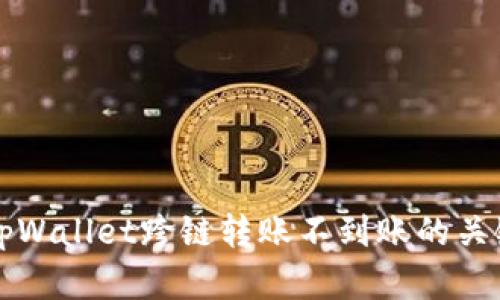 解决tpWallet跨链转账不到账的关键技巧