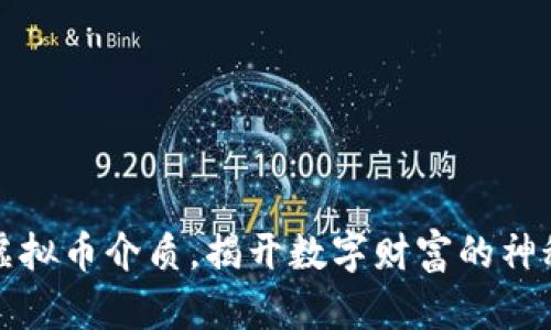 青睐虚拟币介质，揭开数字财富的神秘面纱