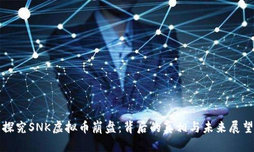 探究SNK虚拟币崩盘：背后的真相与未来展望