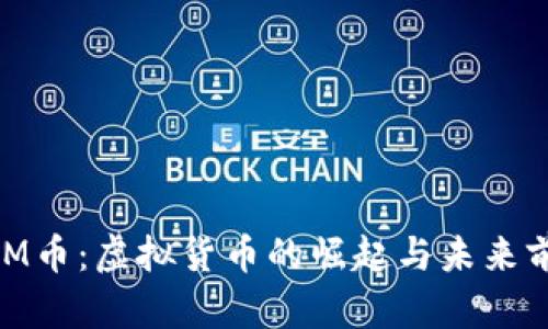 BDM币：虚拟货币的崛起与未来前景