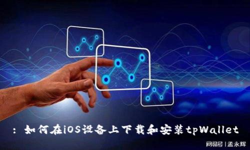 : 如何在iOS设备上下载和安装tpWallet