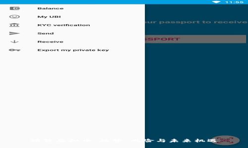 预售虚拟币：趋势、风险与未来机遇