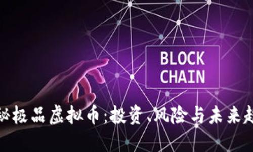 揭秘极品虚拟币：投资、风险与未来趋势